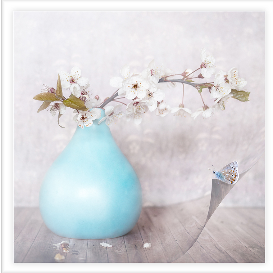 a still life image of a vase with blossom in plus a Butterfly, this image came 1st a the competition
